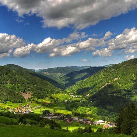 Urlaub Auf 1.000 Meter Hoehe Mit Pool Und Sauna Schönwalde Екстериор снимка