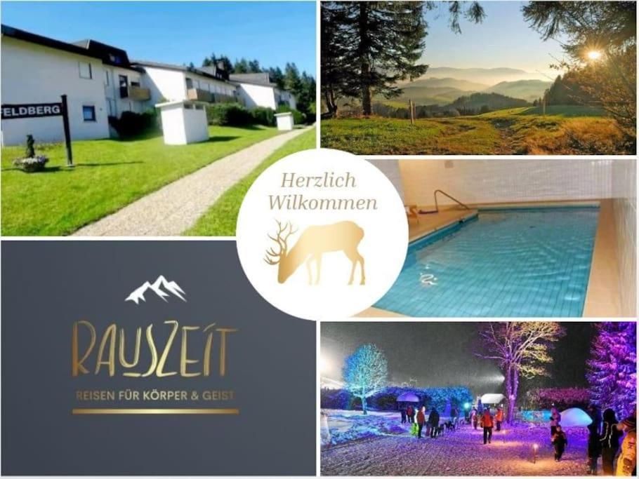 Urlaub Auf 1.000 Meter Hoehe Mit Pool Und Sauna Schönwalde Екстериор снимка