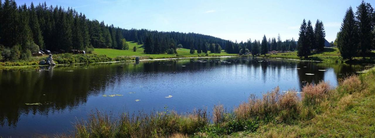 Urlaub Auf 1.000 Meter Hoehe Mit Pool Und Sauna Schönwalde Екстериор снимка