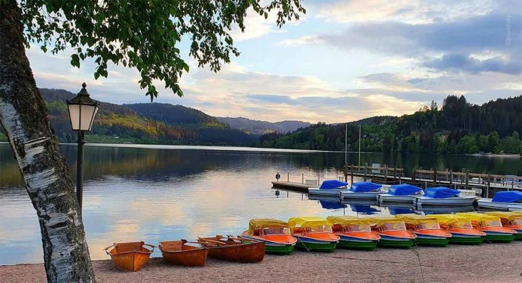 Urlaub Auf 1.000 Meter Hoehe Mit Pool Und Sauna Schönwalde Екстериор снимка