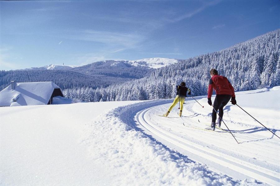 Urlaub Auf 1.000 Meter Hoehe Mit Pool Und Sauna Schönwalde Екстериор снимка