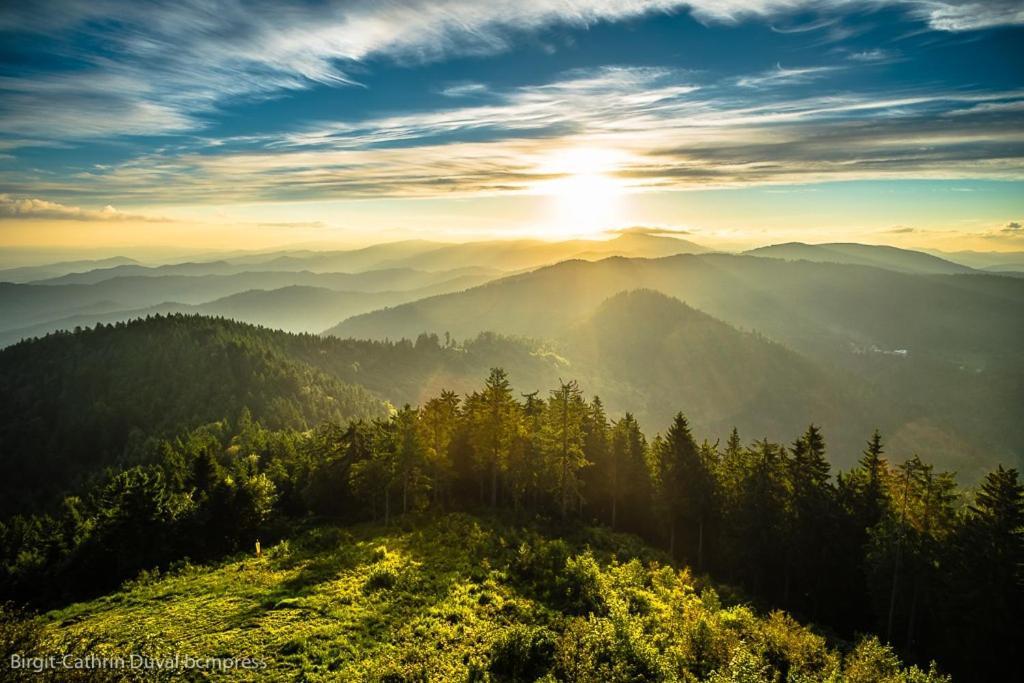 Urlaub Auf 1.000 Meter Hoehe Mit Pool Und Sauna Schönwalde Екстериор снимка